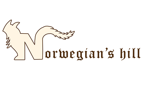 Norwegian's Hill