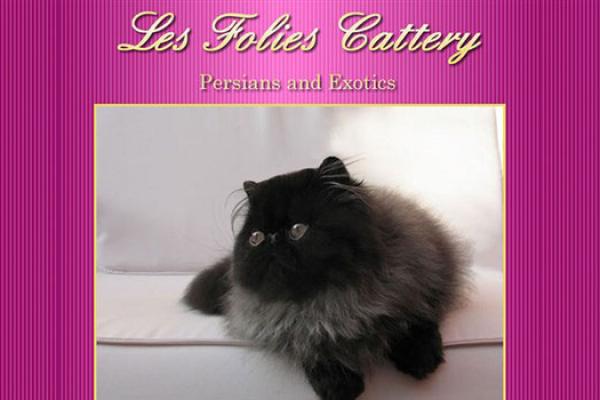 lesfoliescattery_600x400.jpg